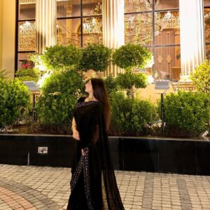 Embellished Border Saree
